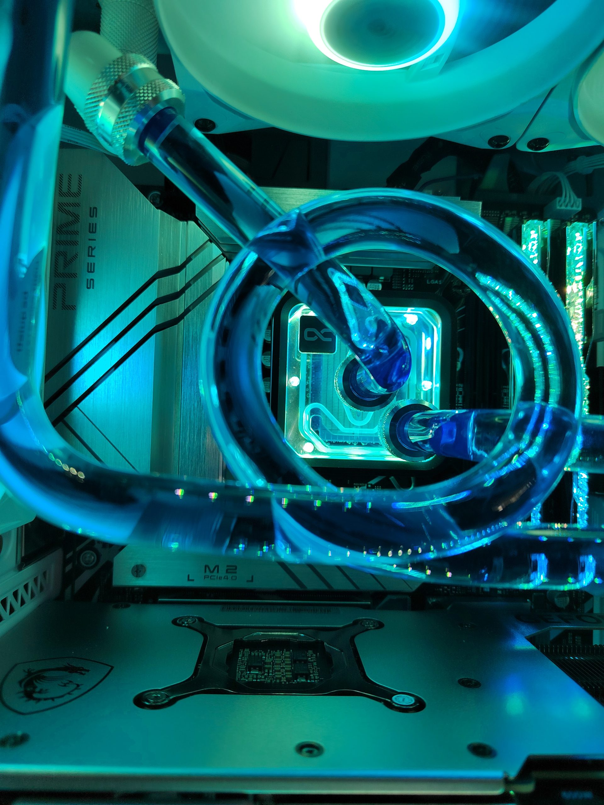 IMG_20241019_151439 – Copie