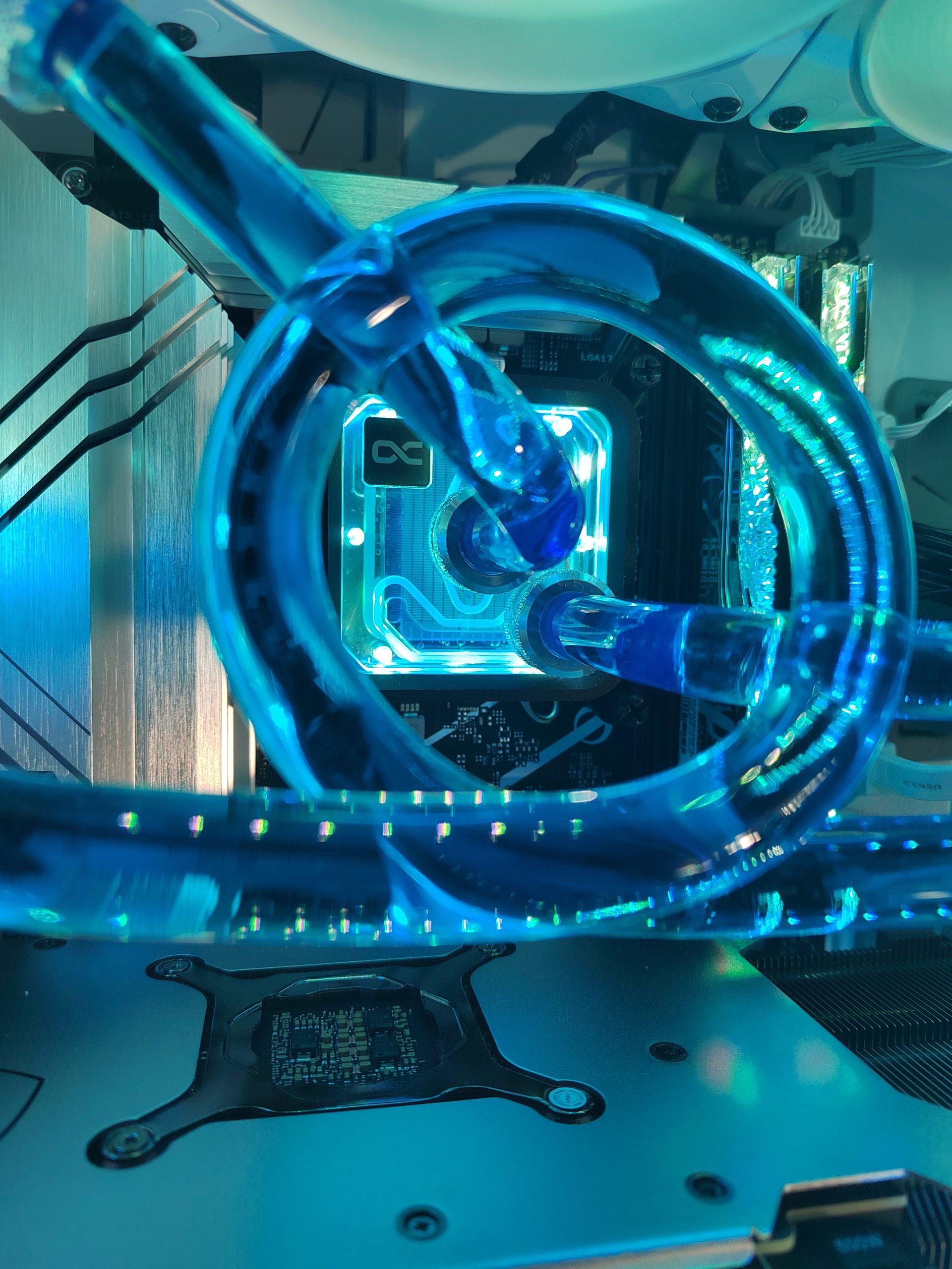 IMG_20241019_172138 – Copie