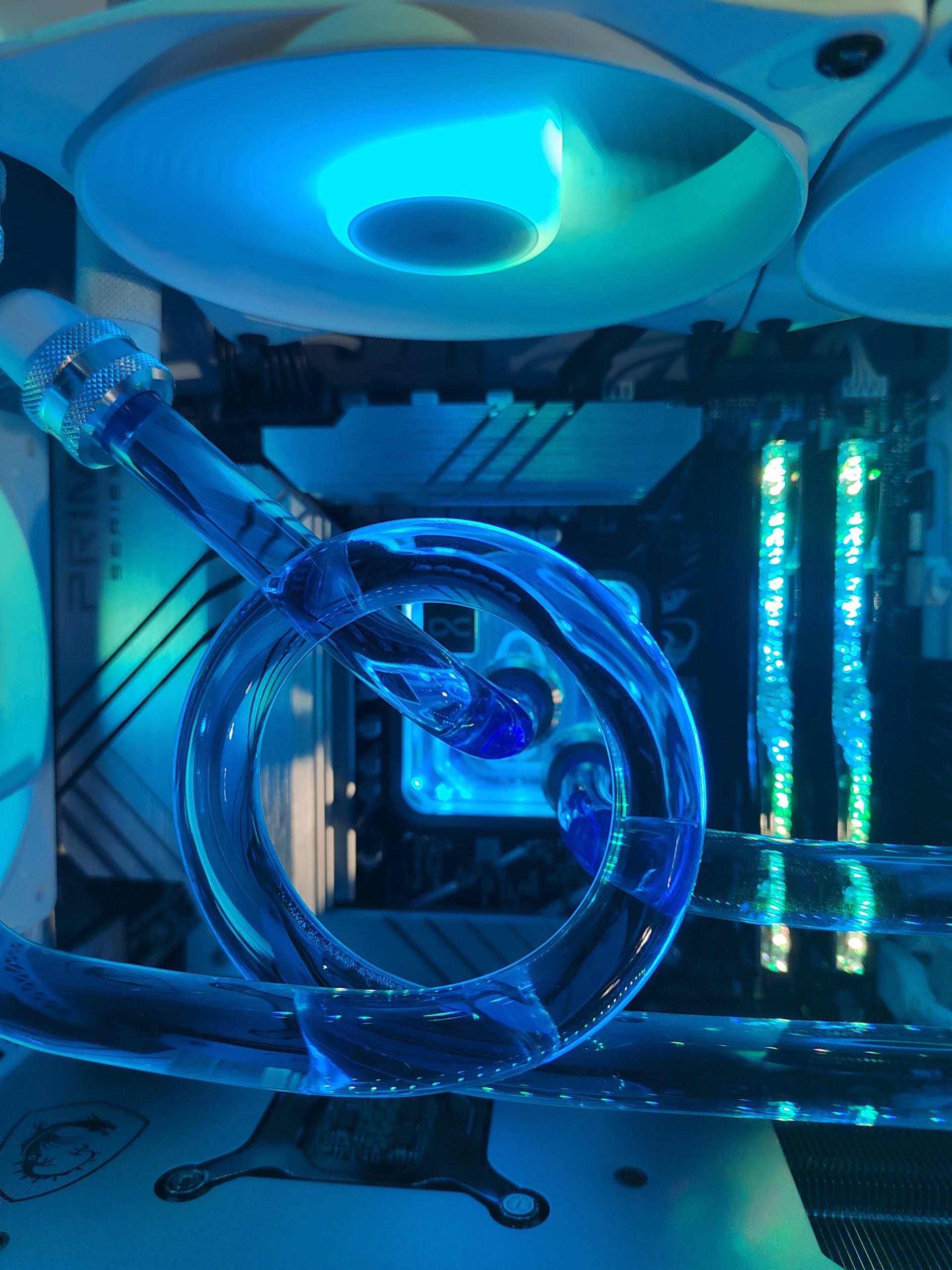 IMG_20241019_172302 – Copie