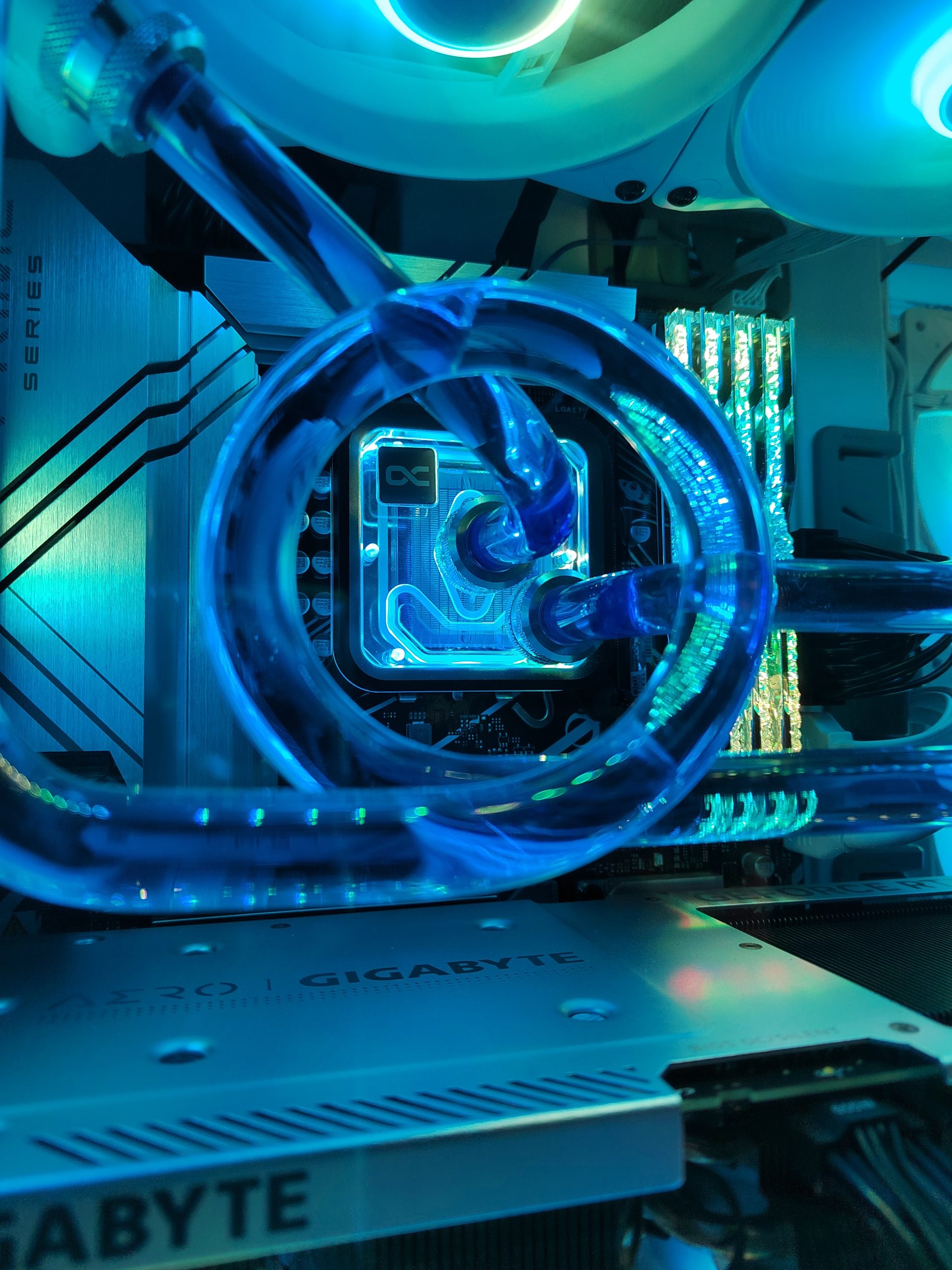 IMG_20250125_141220 – Copie